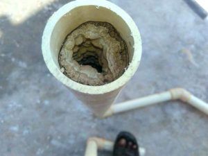 vệ sinh súc rửa đường ống nước