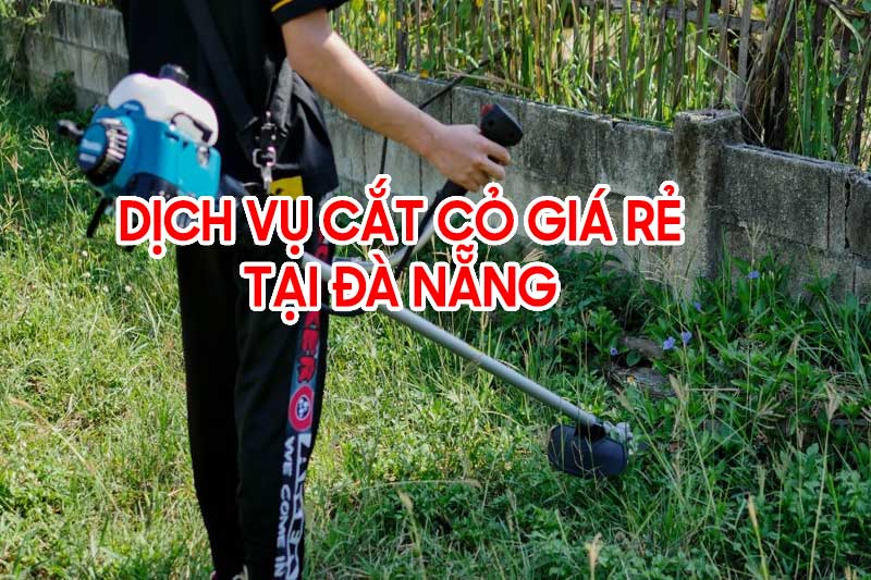 Dịch vụ phát quang cỏ dại tại Đà Nẵng