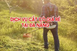 Dịch vụ cắt cỏ tại Đà Nẵng